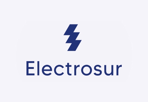 Electrosur